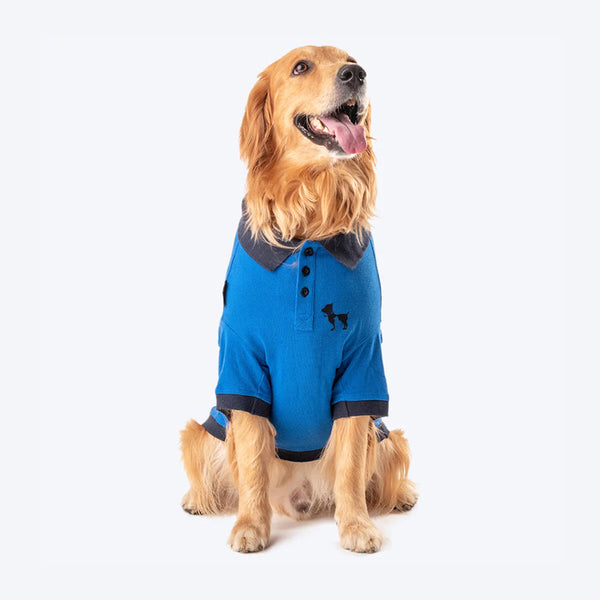 HUFT Polo T-Shirt For Dog - Blue - Heads Up For Tails