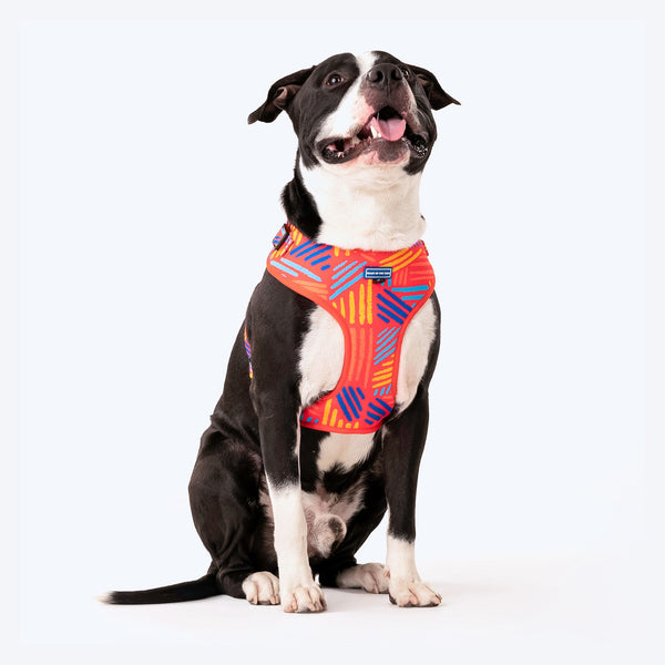 HUFT Sunset Samba Dog Adjustable Harness - Heads Up For Tails