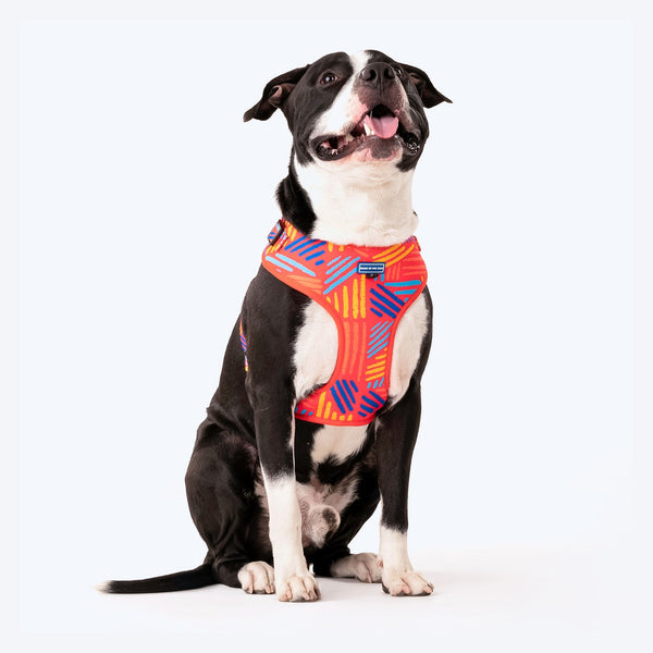 HUFT Sunset Samba Dog Adjustable Harness - Heads Up For Tails