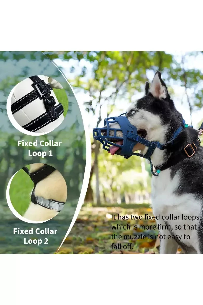 1727435187602__1727435187165__71MwbFSB1ML._SL1200_