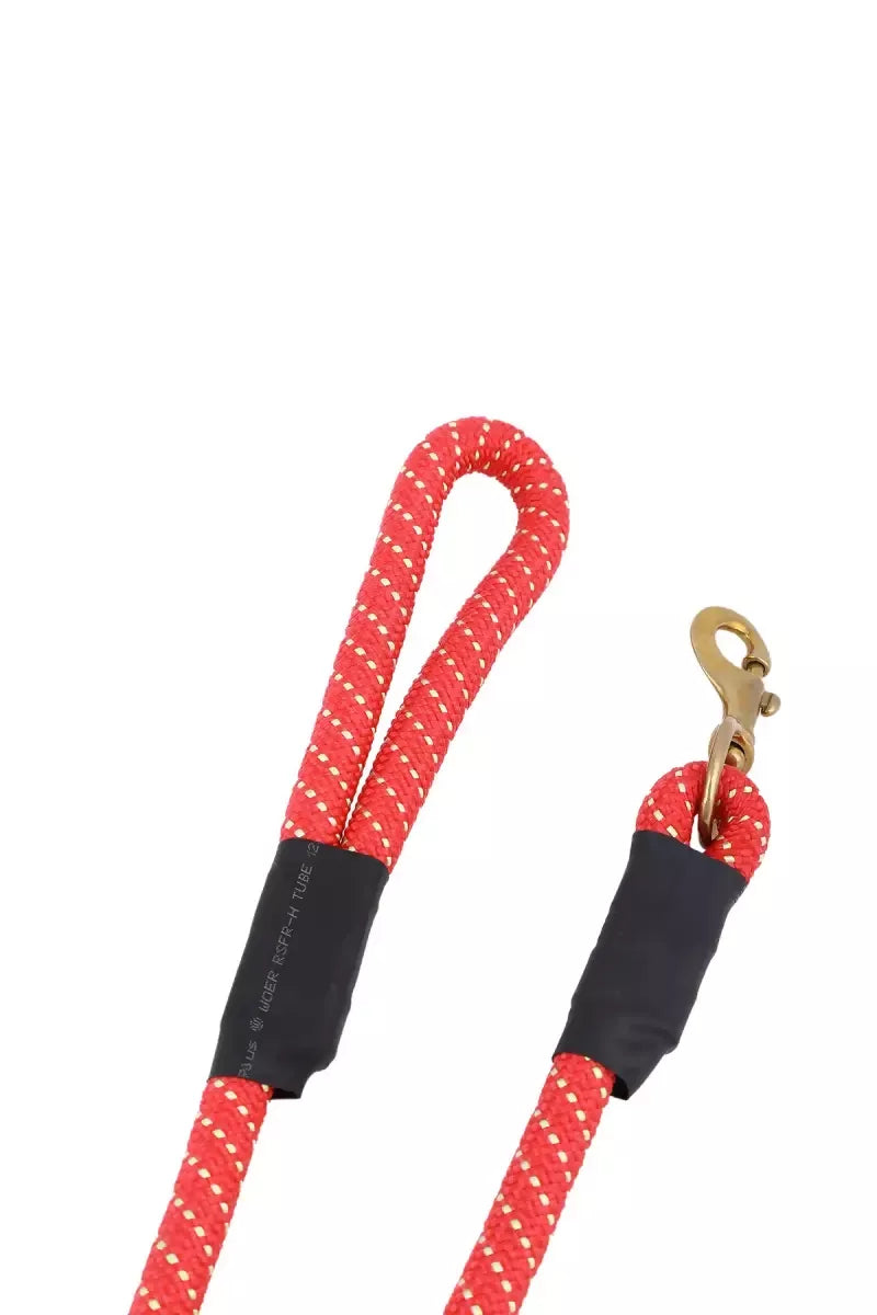 1711976421057__1711976420700__145A6013