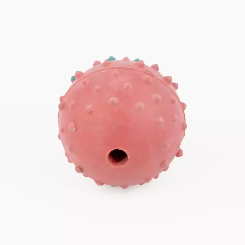 1715778723187__1715778722839__145A5462