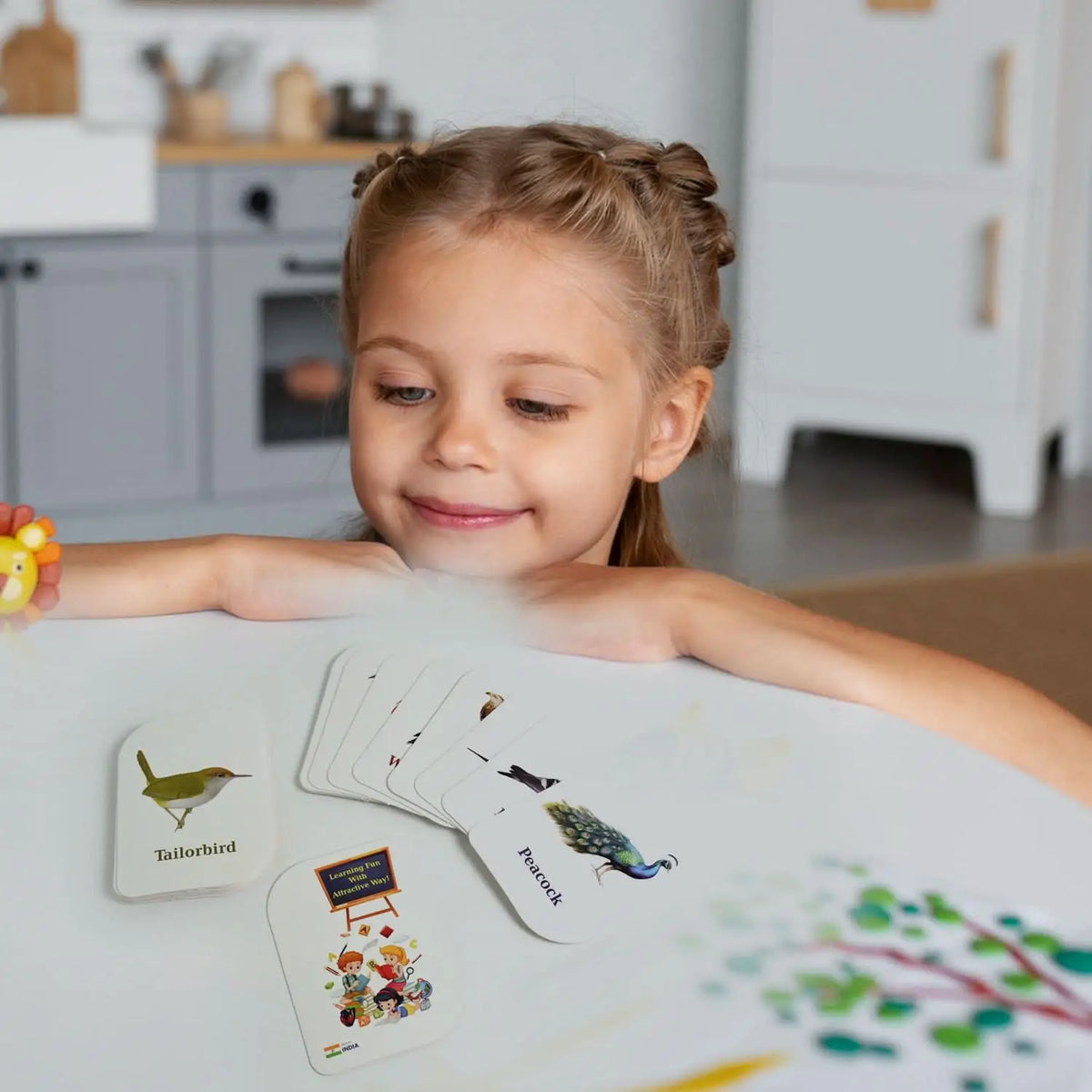 7-in-1 Kidkraft Early Learner Flashcard Combo Set ( 224 Pc Card) HP DD