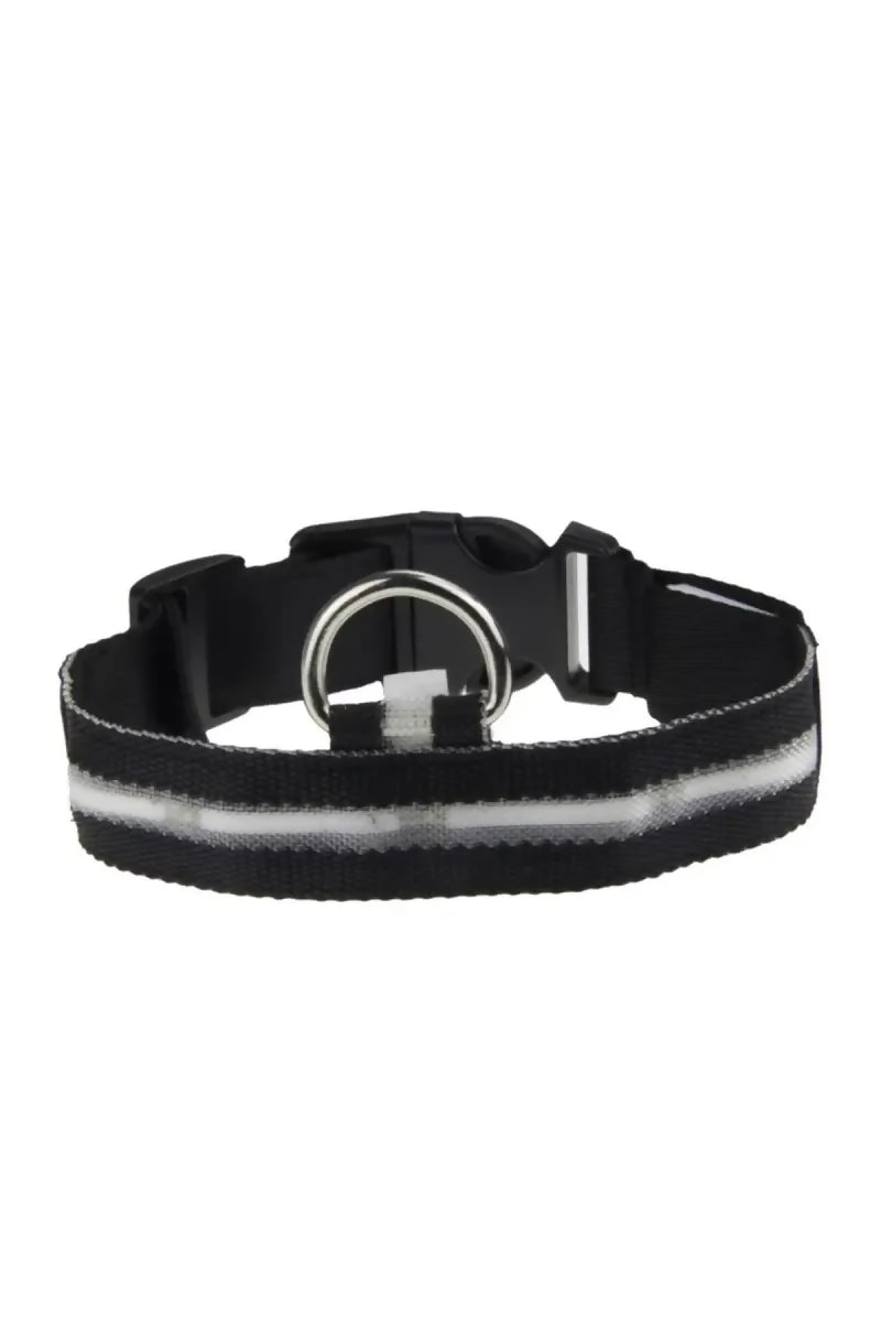 1727434687991__1727434687452__61k7OIVz1xL._SL1050_