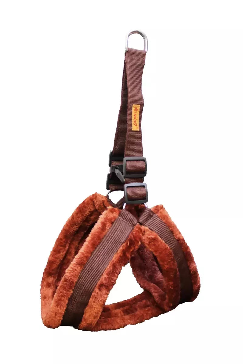 1726646881769__1726646881370__IMG_1041