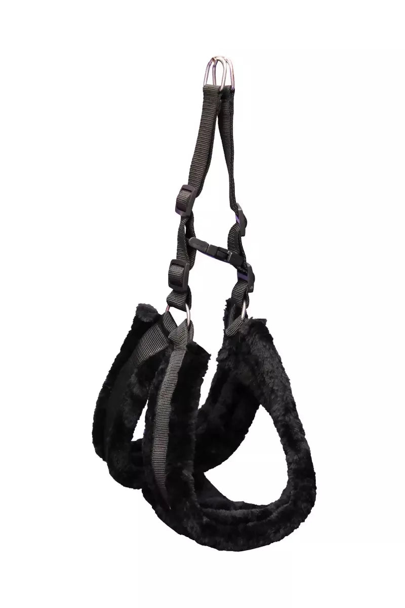 1726722675852__1726722675473__IMG_0889