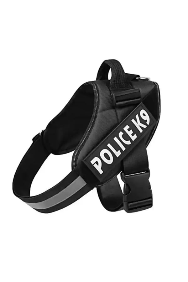 1726722938123__1726722937696__41O5rlMCI-L