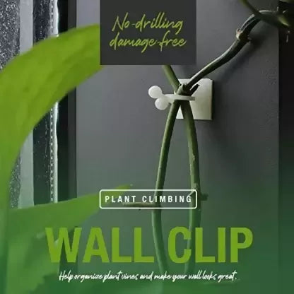 30-wall-vines-fixing-clips-plant-climbing-holder-30-pcs-zuvilika-original-imagcgs7s4hpwhvv