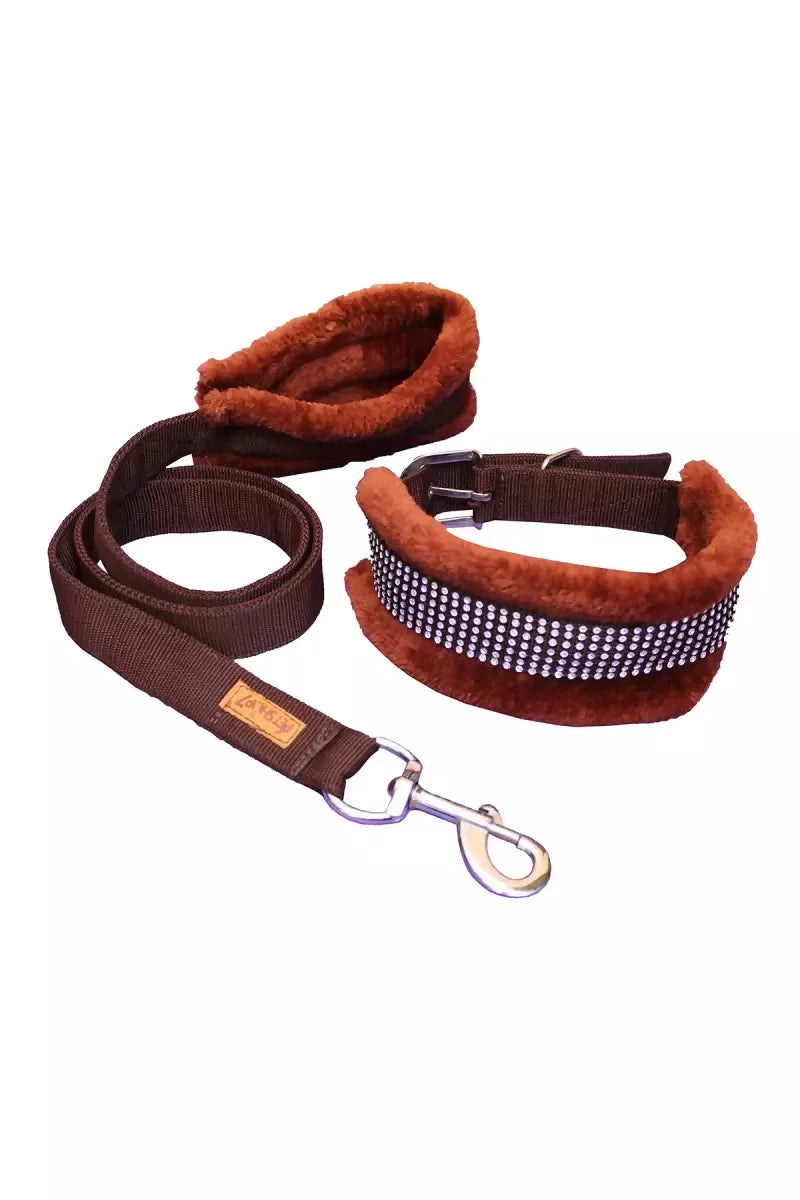 1726730050558__1726730050235__IMG_0951