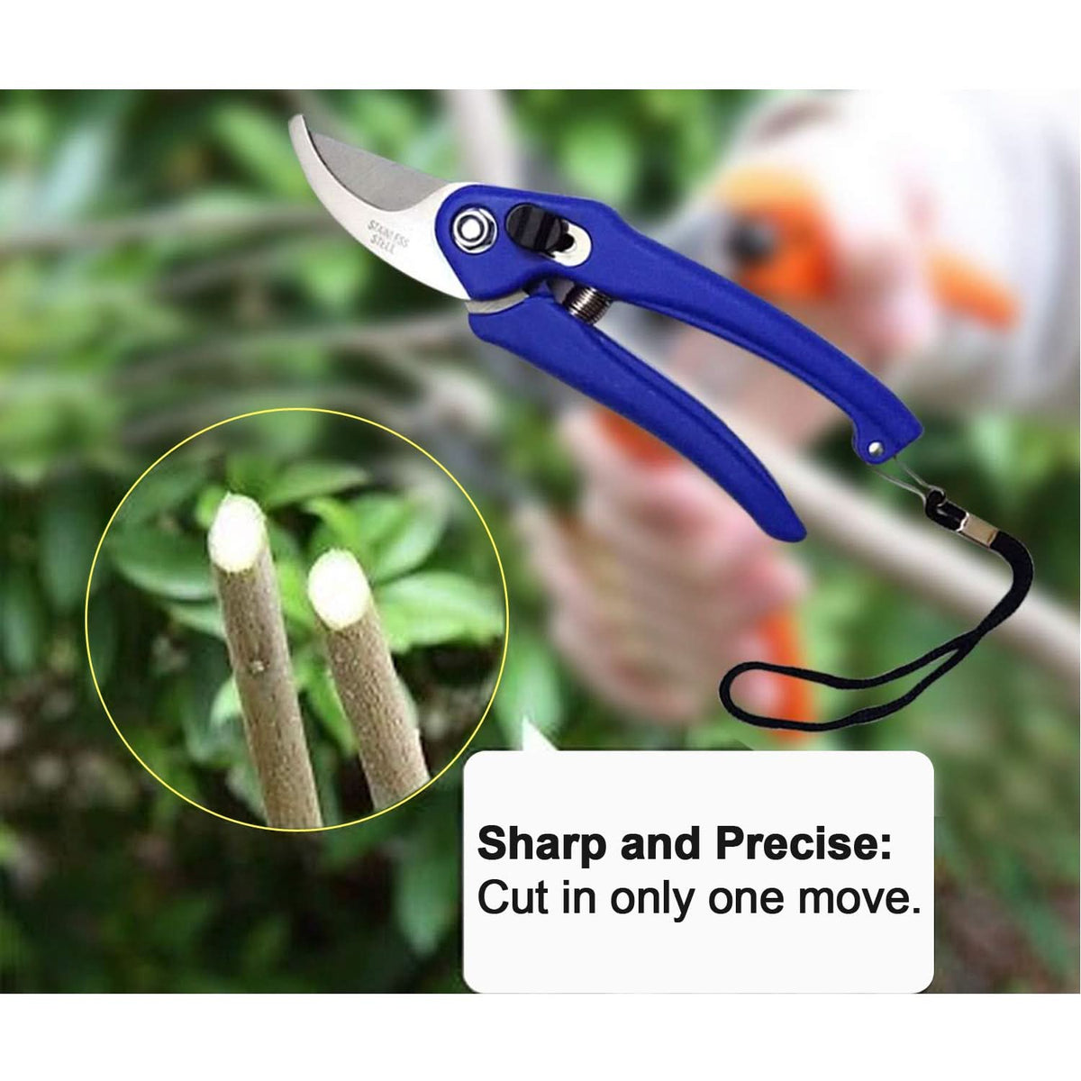 Garden Shears Pruners Scissor For Cutting Branches Flowers Leaves Pruning Seeds HP DD
