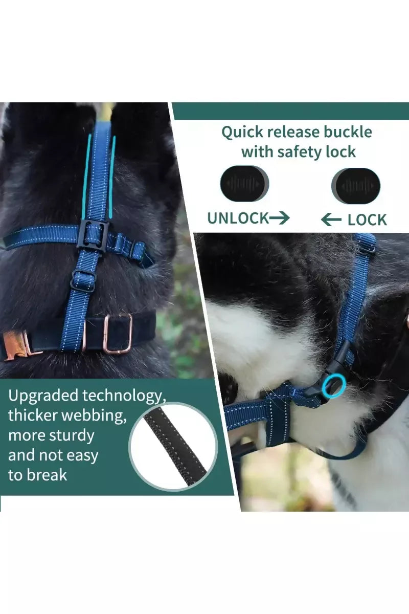 1727435187441__1727435186953__71nXF0YhJLL._SL1200_