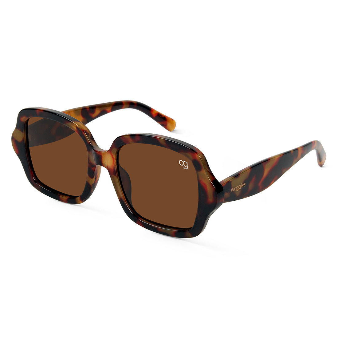 Brown Monochromatic Square Sunglasses