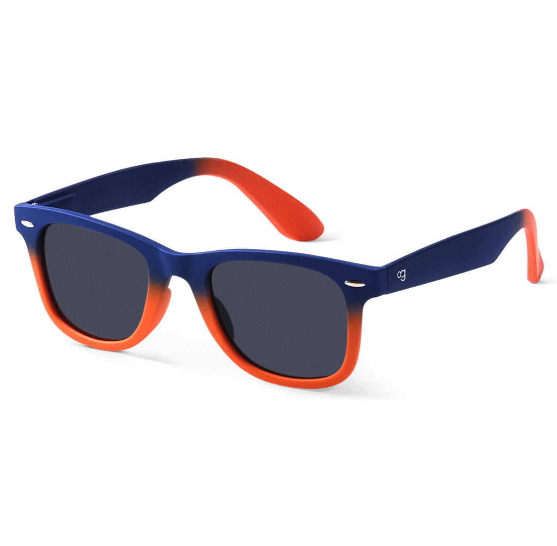 Blue Classic Collection Wayfarer Sunglasses