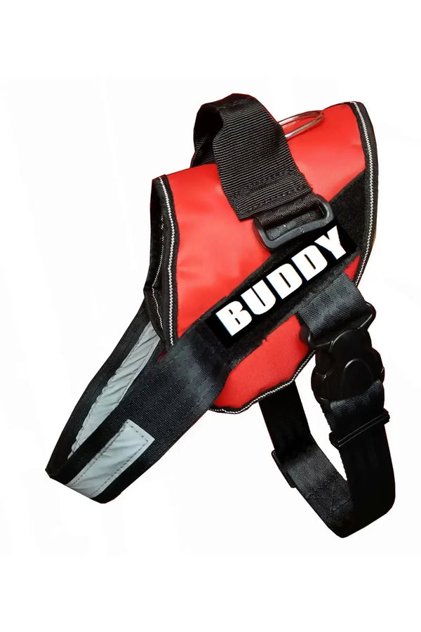 1726570842534__1726570842123__BUDDY%20RED%202