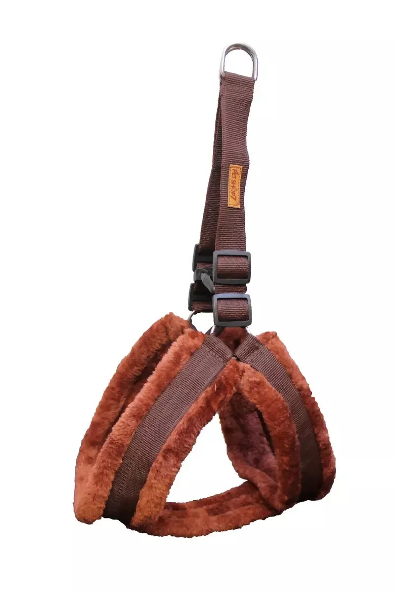 1726646881874__1726646881496__IMG_1043