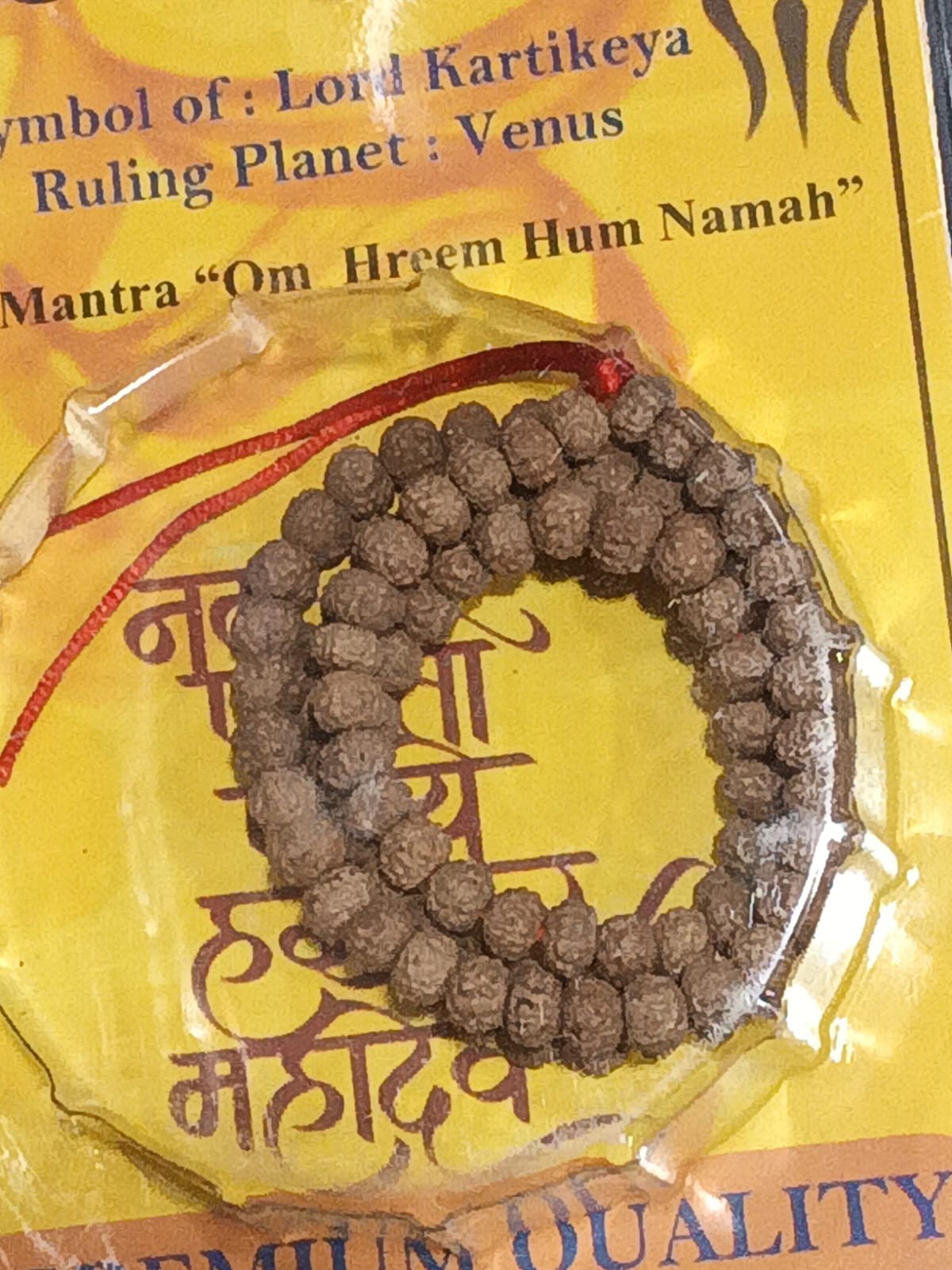 6 Mukhi Rudraksha Mala – Kartikeya Blessing Spiritual Prayer Beads Necklace