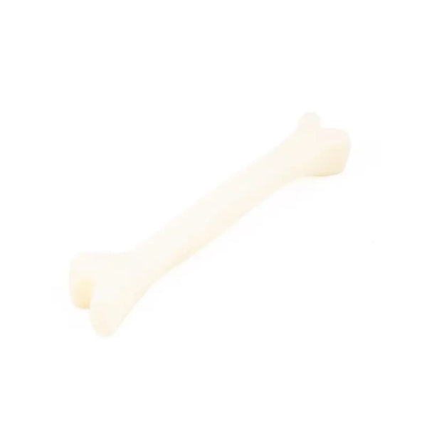 1715776932080__1715776931620__145A5515