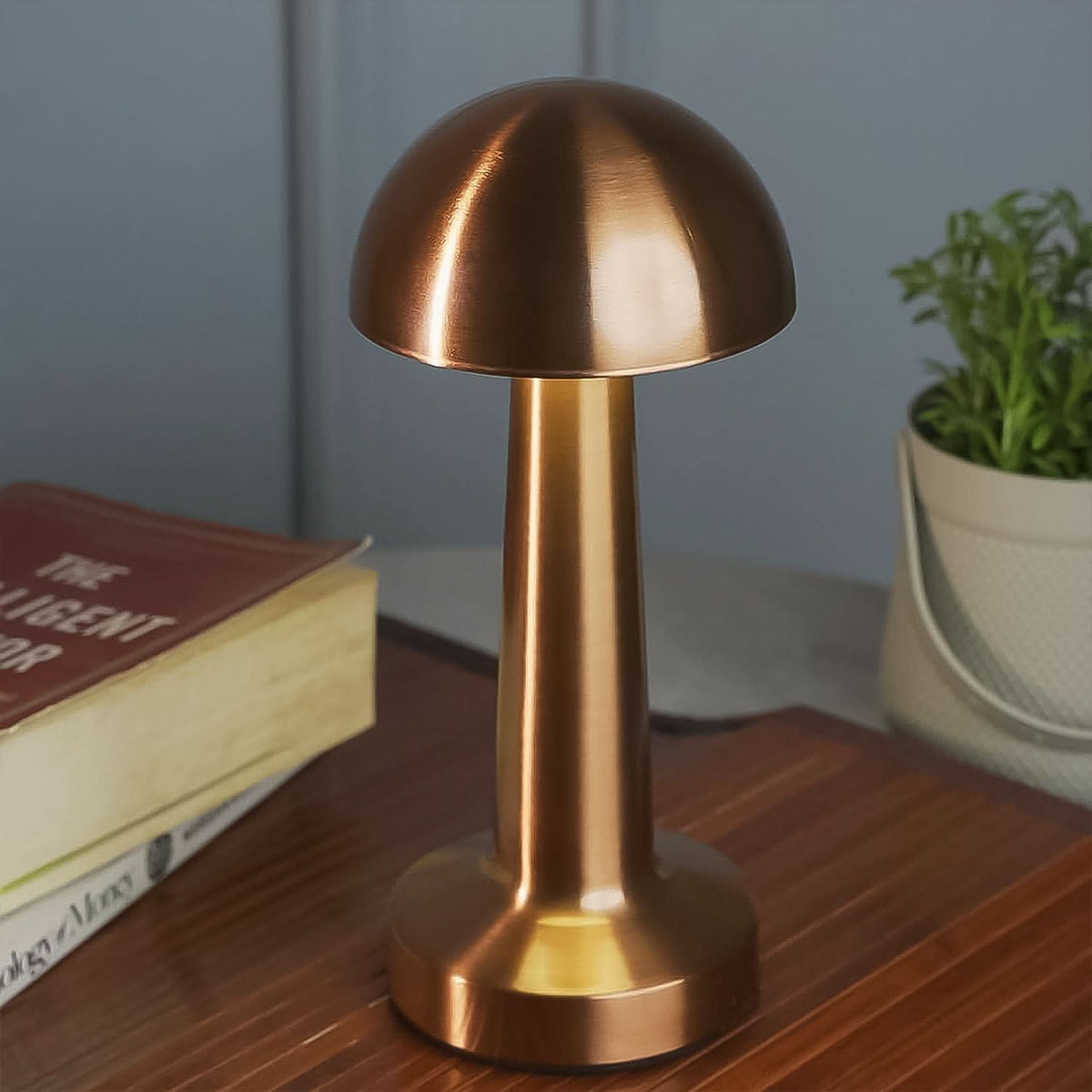 Touch Control LED Desk Lamp – Portable Decorative Metal Table Lamp for Home & Office HP DD