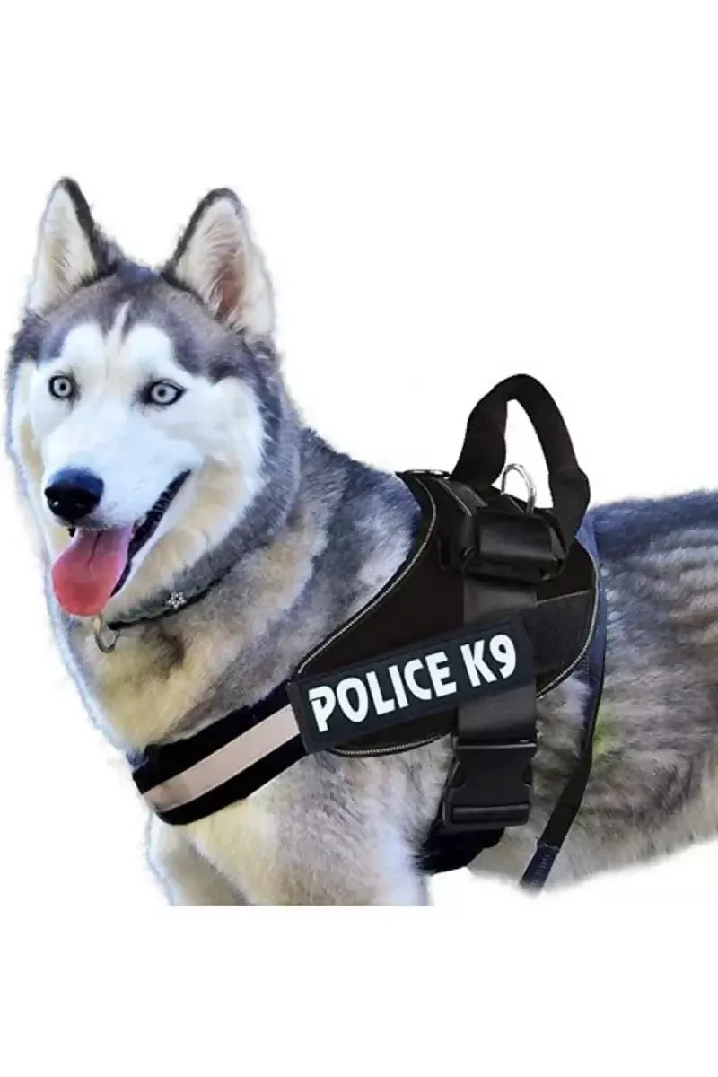 Petshop7 Service Dog Safety Harness (Small, Black) SUPER