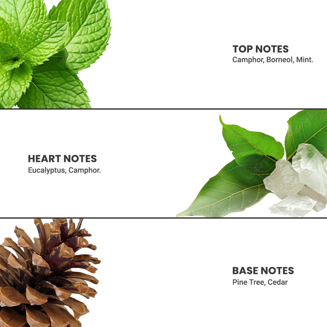 Areca Air Freshener Camphor 220ml
