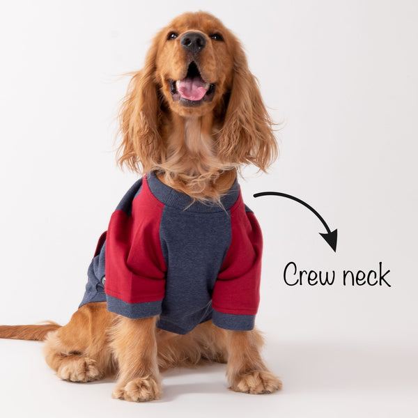 HUFT Colour Block Pocket Pet Sweatshirt - Blue Melange and Red - Heads Up For Tails