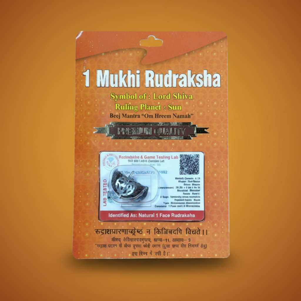 1 Mukhi Rudraksha Bead – Shiva Blessing Sacred Natural Rudraksha