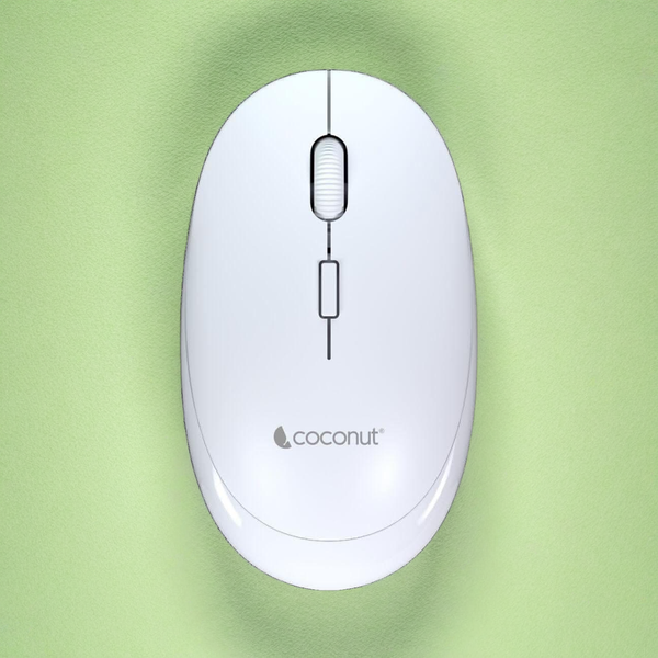 Coconut Glory Wireless & Bluetooth Mouse(White)