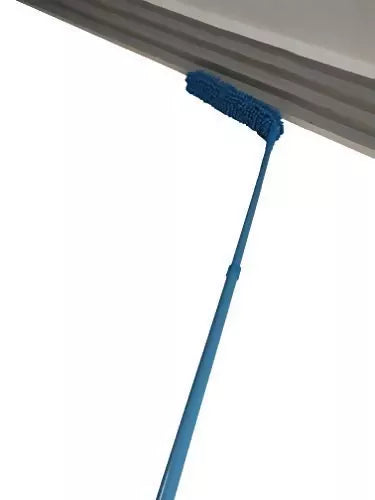 31E_6TMLLZL