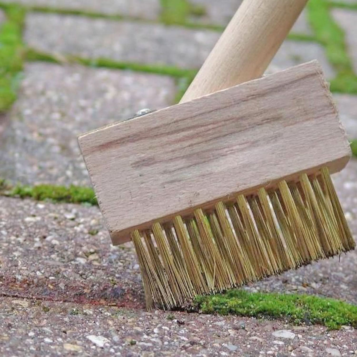 Patio Weed Remover & Block Paving Cleaner (1 Pc) HP DD