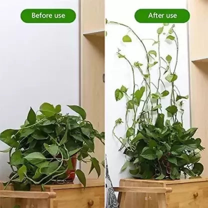 30-plant-climbing-fixing-clip-self-adhesive-fixture-wall-sticky-original-imagape6qezbxzfk