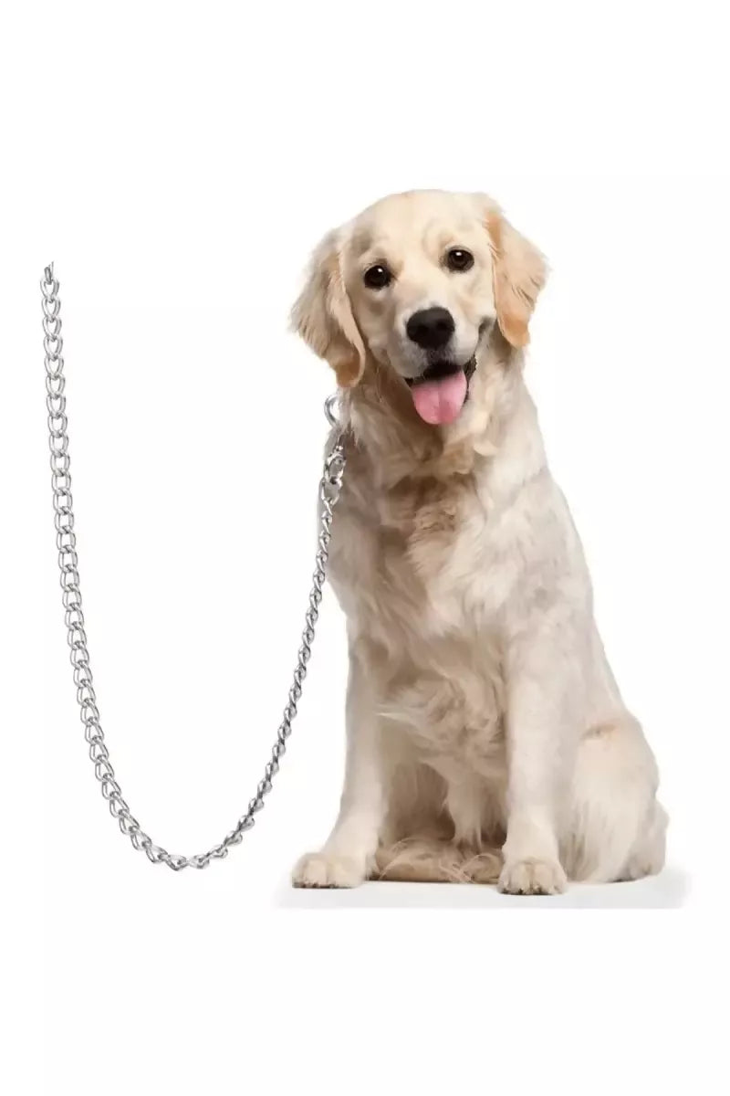 1727434911660__1727434911205__61WhcVz1A6L._SL1175_