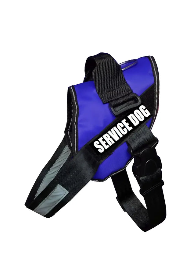 1726568023421__1726568022910__SERVICE%20DOG%20BLUE%20K9%20HAR