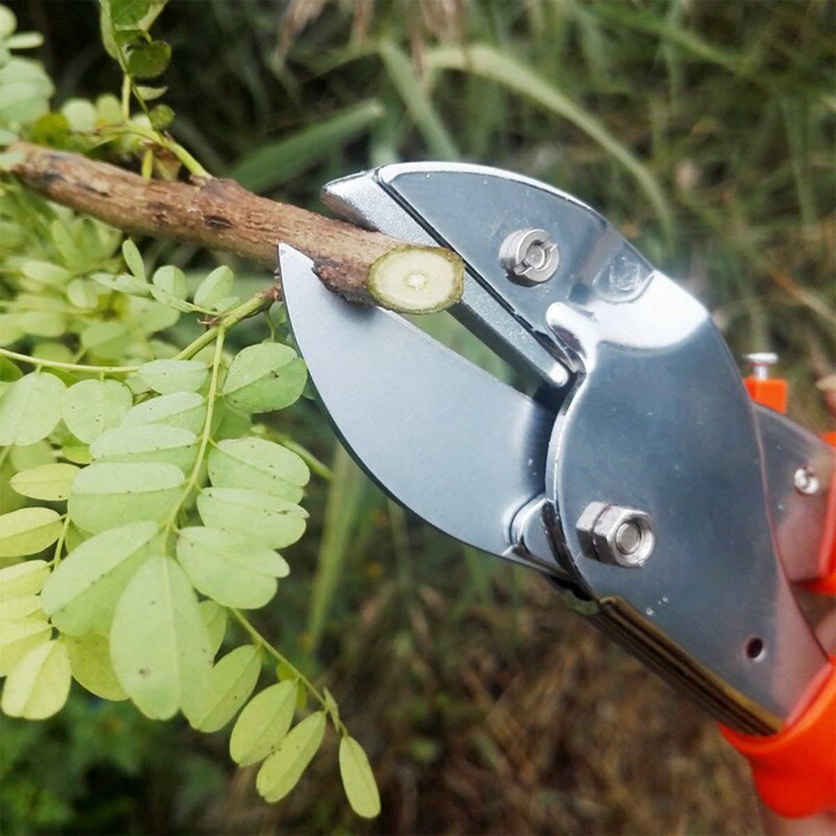 Professional Garden Scissor With Sharp Blade Comfortable Handle (18cm)