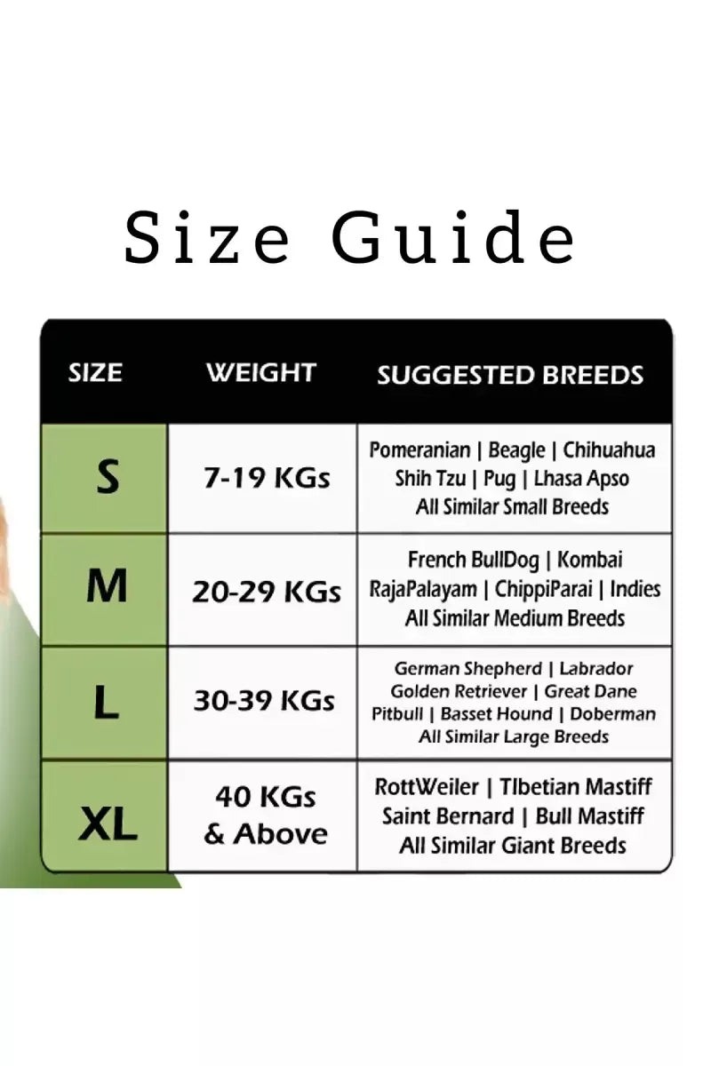 1726725860427__1726725860076__71sMo%2BYOnjL