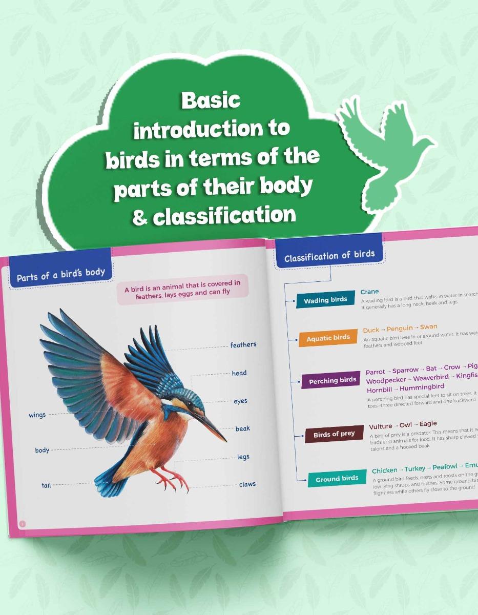 Birds Information Book for Kids | Early Learning Activity Book - Image 6
