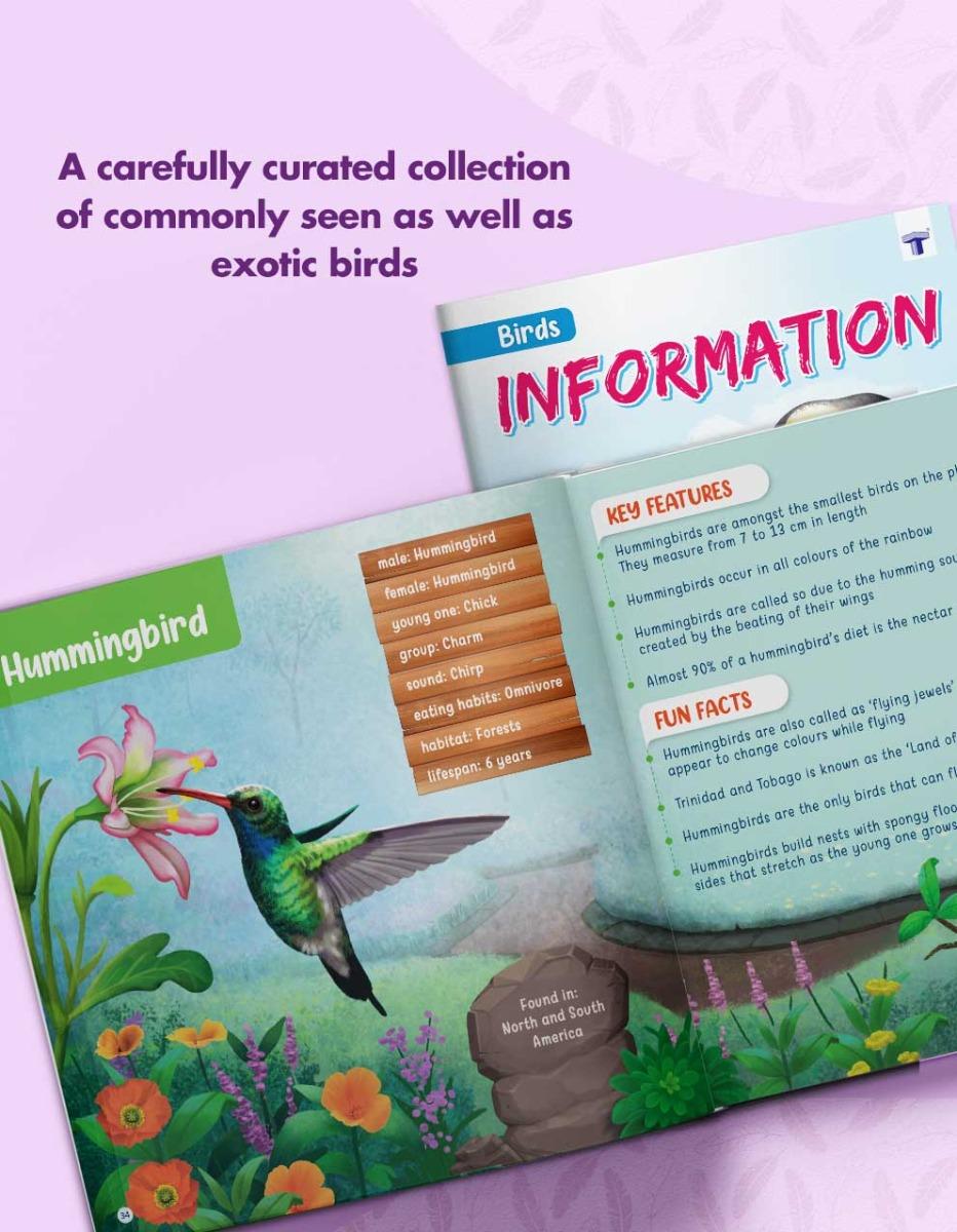 Activity Book Kit for Kids | My Early Learning Book of Birds - Image 4