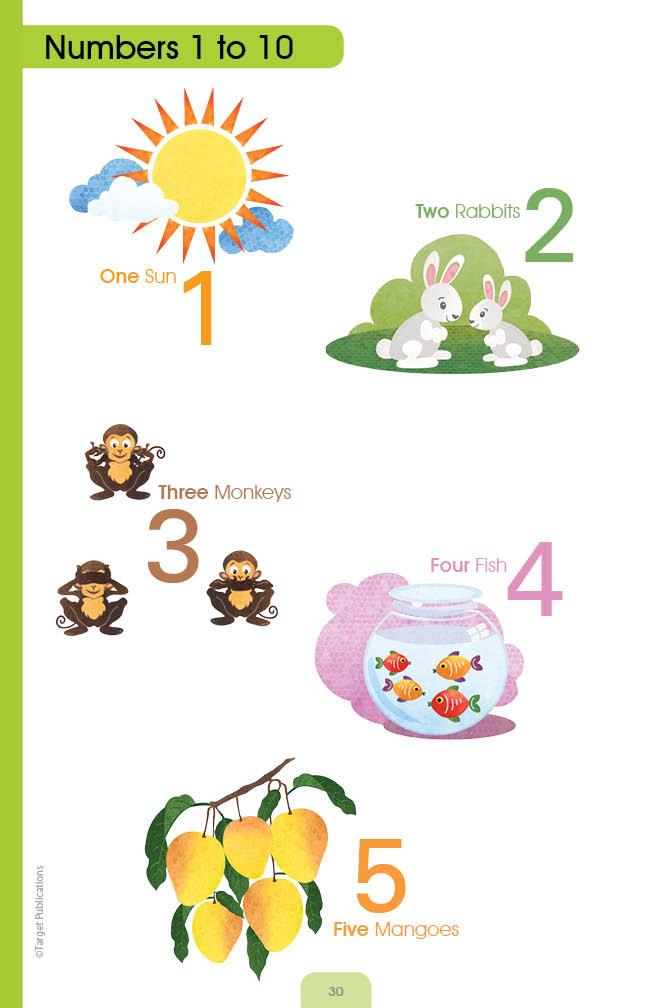 My Book of General Knowledge for Kids 5-7 Years | English GK Book - Image 6