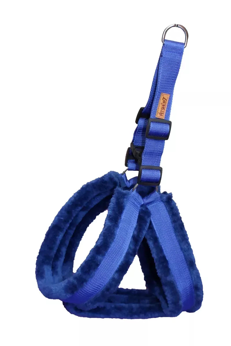 1726646756353__1726646756008__IMG_0930