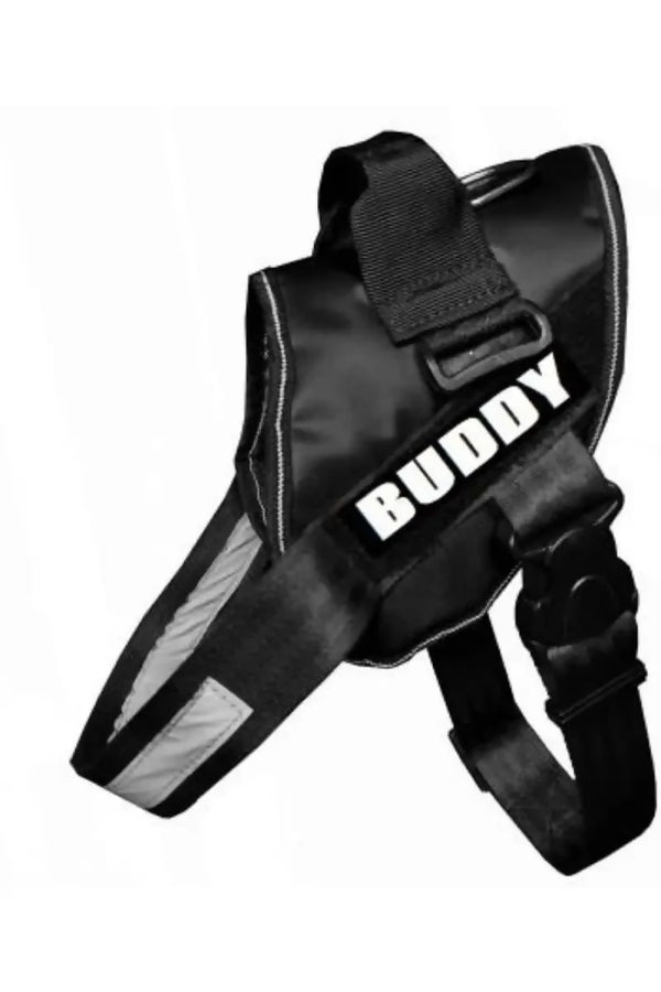 1726571048206__1726571047801__small-ps7k9simbabks-petshop7-original-imagyjcxyjxmcw6z