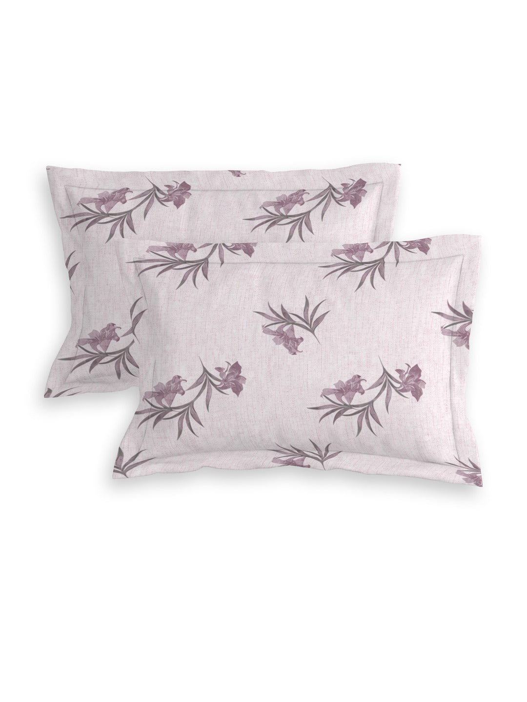 Petal 100% Pure Cotton Collection Premium Percale Queen Bedsheet With 2 Pillow Covers