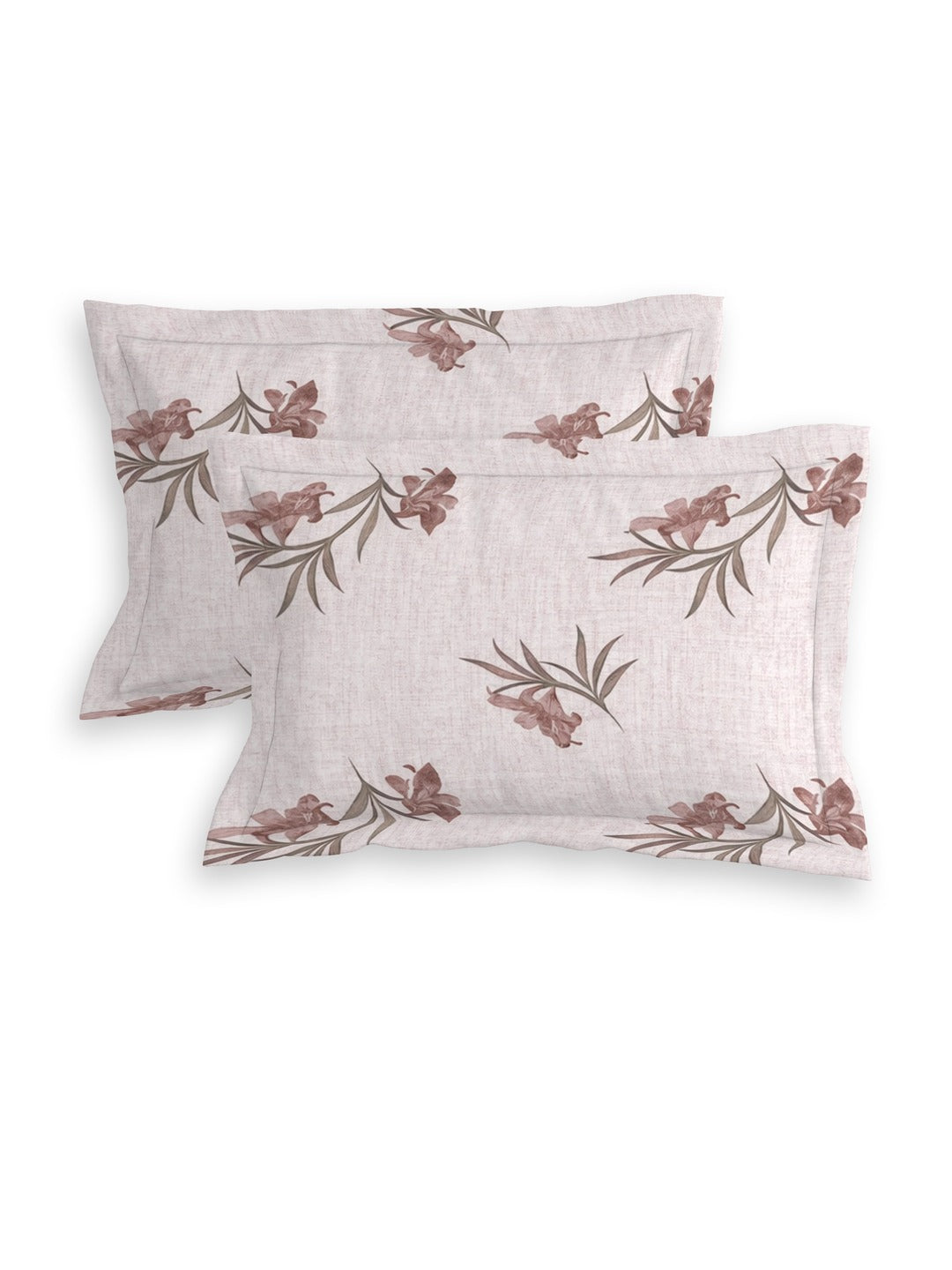 Petal 100% Pure Cotton Collection Premium Percale Queen Bedsheet With 2 Pillow Covers