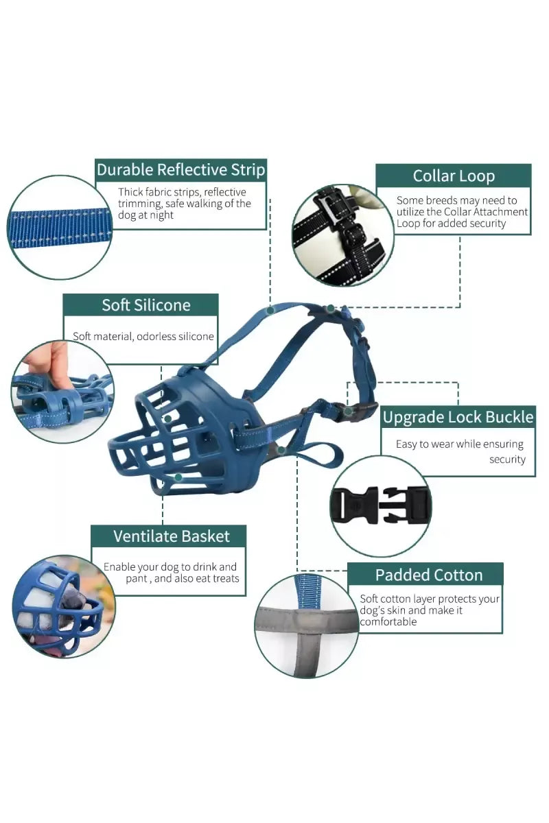 1727435187194__1727435186667__71cTNUH5I9L._SL1200_