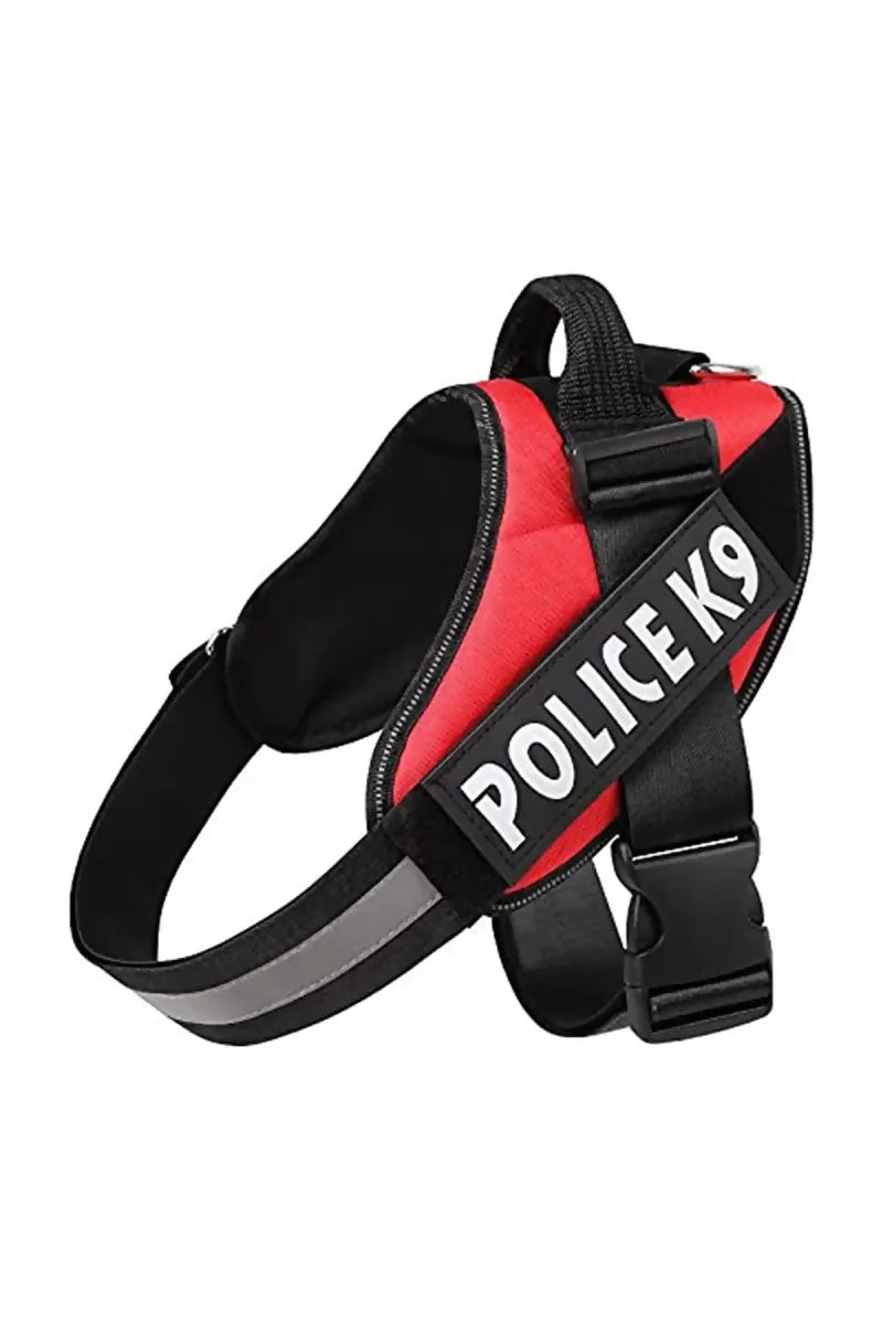 1726722974493__1726722974137__61RISvxh%2B9L