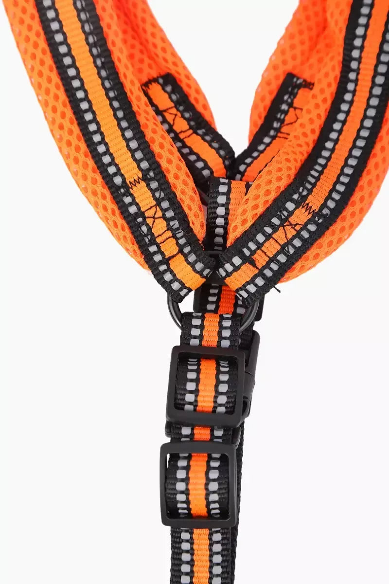 1712036200716__1712036200296__145A5865