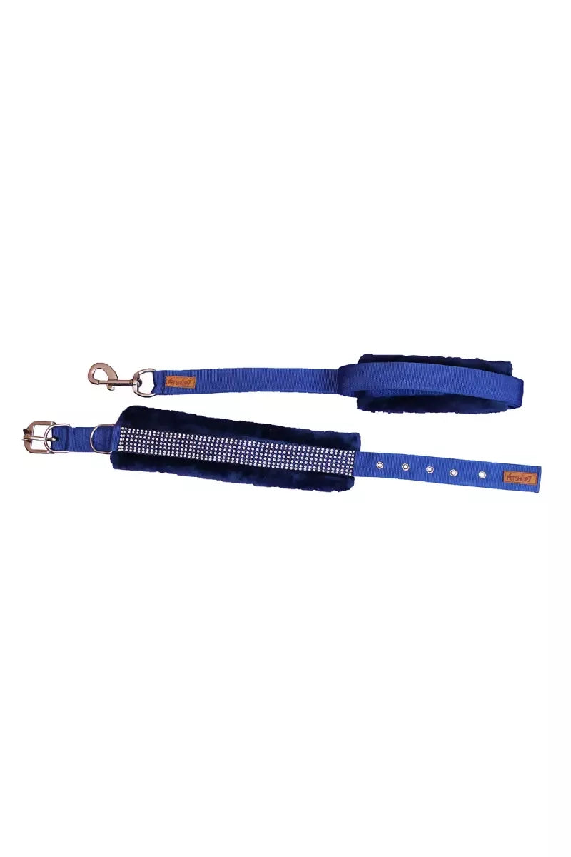 1726730151093__1726730150733__IMG_0933