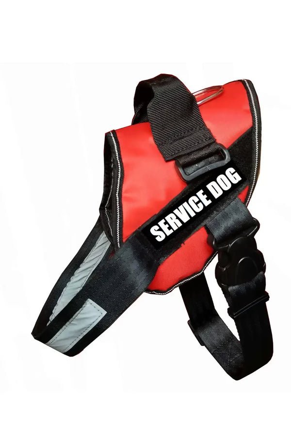 1726568516555__1726568516161__SERVICE%20DOG%20RED%20K9%20HAR