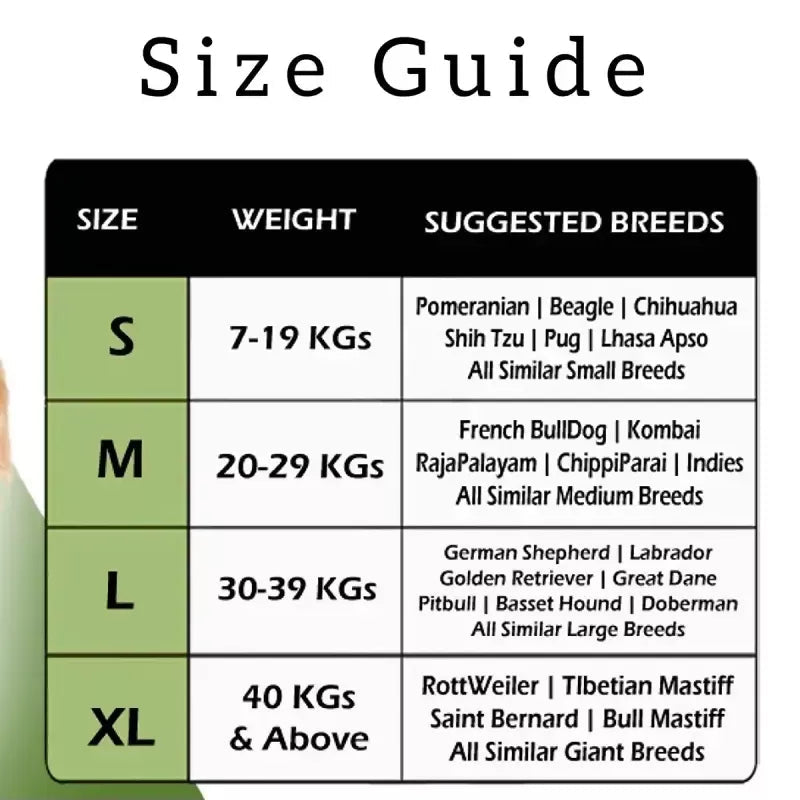 1726725860427__1726725860076__71sMo%2BYOnjL