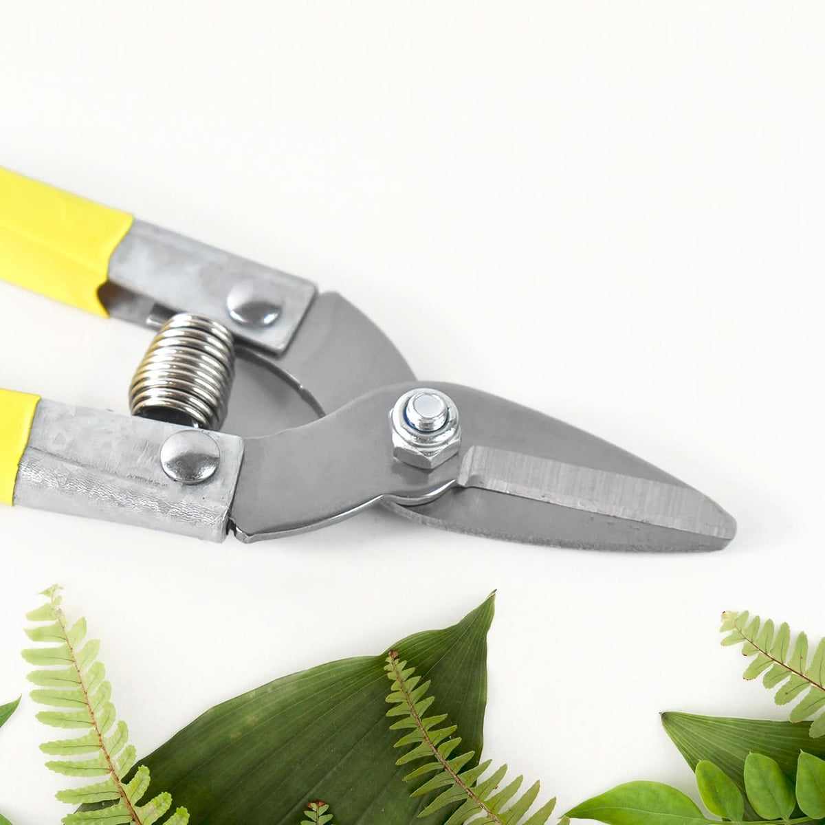 Precision Micro Garden Snip Pruning Scissor (Small) HP DD