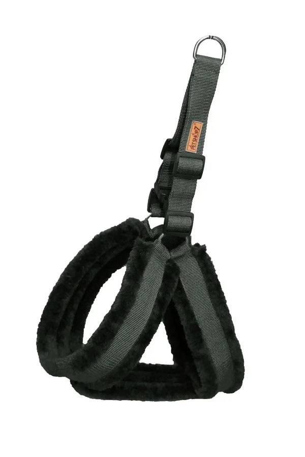 1726722669634__1726722669274__Harness