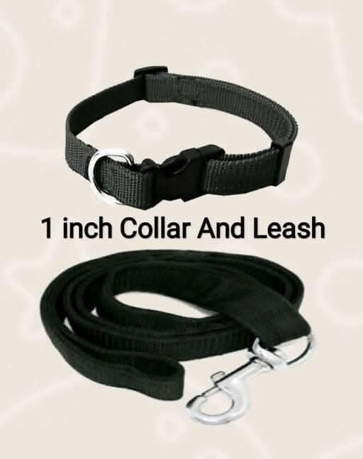 Mukundhas 1 Inch Dog Collar with Leash - HalfPe